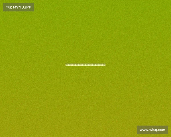 维塔尔创单场最多机会纪录助海港攻势全开对阵河南队表现抢眼 维塔尔创单场最多机会纪录助海港攻势全开对阵河南队表现抢眼